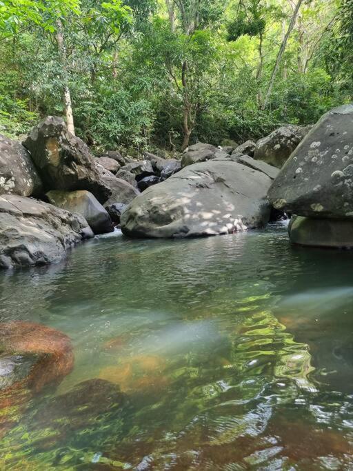 L'Ilet Paradise Pointe-Noire Bagian luar foto