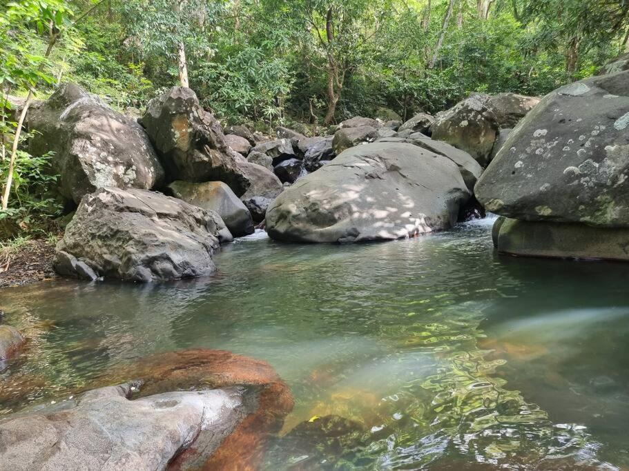 L'Ilet Paradise Pointe-Noire Bagian luar foto