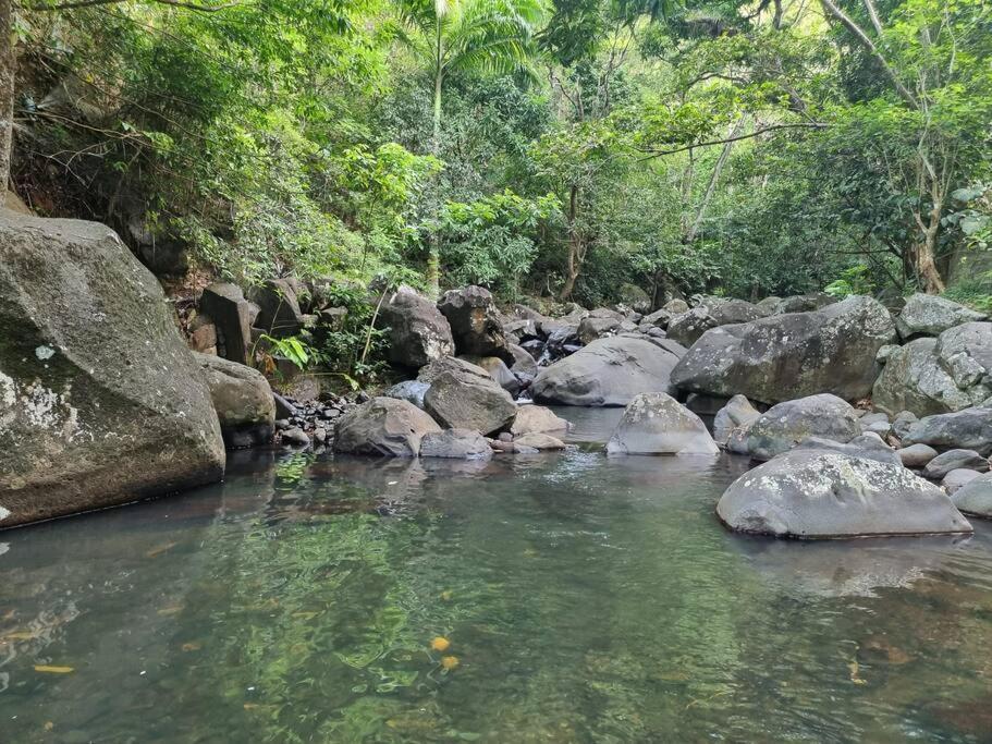L'Ilet Paradise Pointe-Noire Bagian luar foto